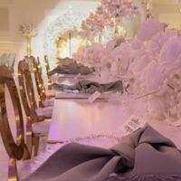 Le Domaine de Camélia