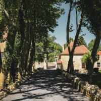 Allée principale
