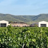 Les vignobles à perte de vue