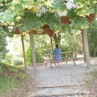 Domaine de la Bachellerie