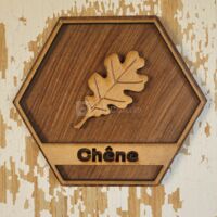 Domaine de la Bachellerie