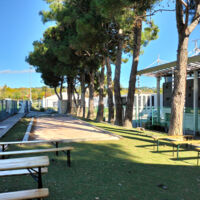Comptoir avec terrain de pétanque, cuisine centrale et bar