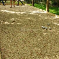Pétanque