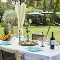 Villa Alexandra Cannes