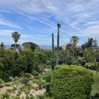 Villa Alexandra Cannes