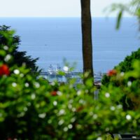 Villa Alexandra Cannes