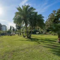 Villa Alexandra Cannes