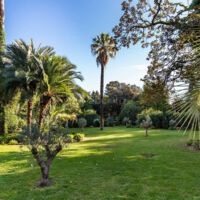 Villa Alexandra Cannes