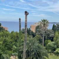 Villa Alexandra Cannes