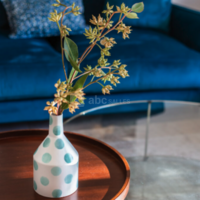 Villa Alexandra Cannes