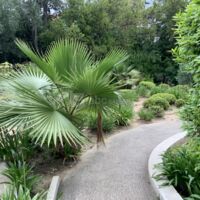 Villa Alexandra Cannes