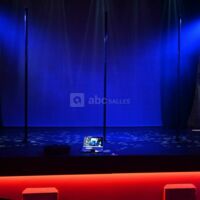 La Fourmi Rouge Cabaret-Spectacles