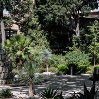 MO.CO. Montpellier Contemporain