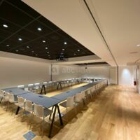 Salle Laroque - plénière sans couloir