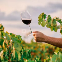 Domaine du Mas Bégon