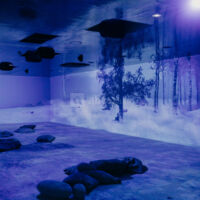 Cite Immersive Viking