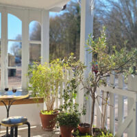 Maison de Charme À l'Orée du Bois de Clamart