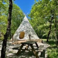Tipi