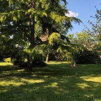Notre jardin