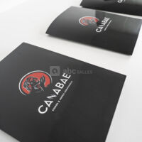 Canabae Studios