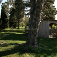 Eden Wood Forest