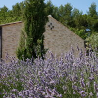Domaine Onestbien
