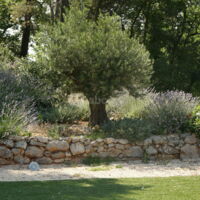 Domaine Onestbien