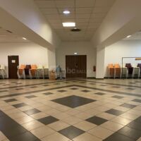 Salle vide Jonquille