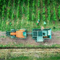Les Arbillons Vignoble