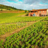 Les Arbillons Vignobles