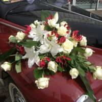 Voiture de location