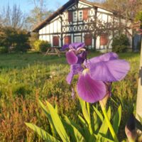 Mmaamm A la Ferme de Bathurt