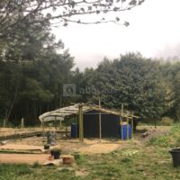 Mmaamm A la Ferme de Bathurt