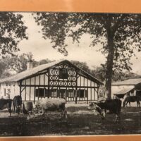 Mmaamm A la Ferme de Bathurt