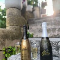 Nos créations : Nos premières bouteilles de champagne