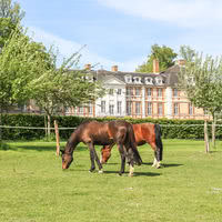Château d'Argeronne