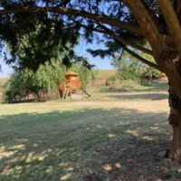 Cabane pour enfants