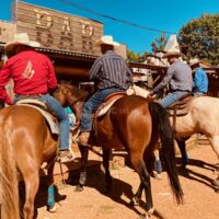La buvette & ses cowboys