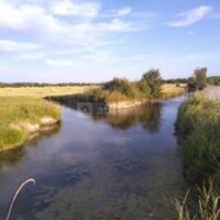Le marais de Varaville