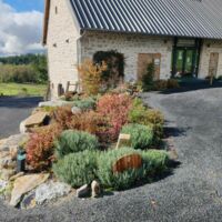 Domaine de la Romanée Sofia