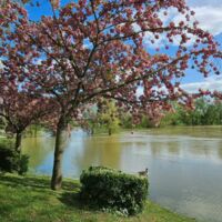 Bord de Marne à proximité