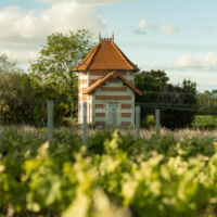 Château Pontac-Lynch