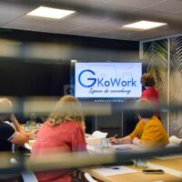 Gkowork