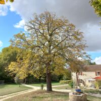 Parc