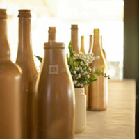 Domaine de Chatonnay