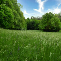 Domaine de Camboyer
