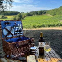 Château Hostens-Picant