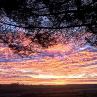 Château Hostens-Picant