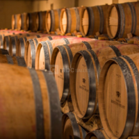 Château Hostens-Picant