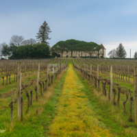 Château Hostens-Picant